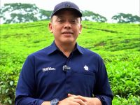 Komoditas Non Core Palmco Berhasil Catatkan Laba